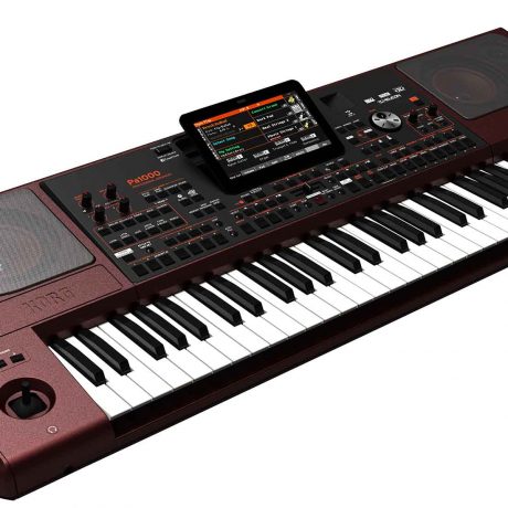 korg pa1000 61key arranger pro synthesizer