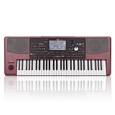 korg pa1000 61key arranger professional synthesizer