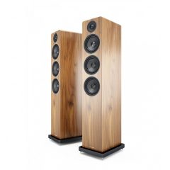 Acoustic-AE120-Walnut Floor Speakers